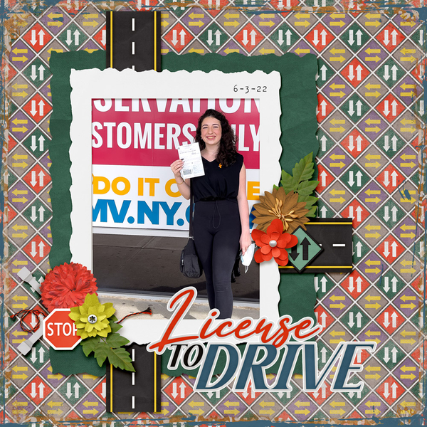 License to Drive