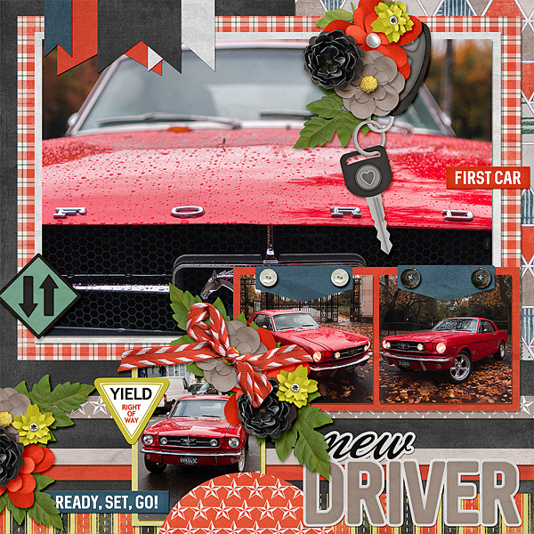 License to Drive