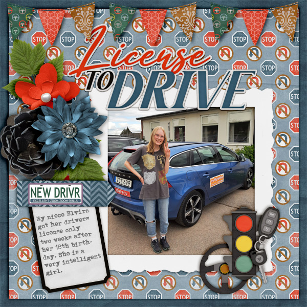 License-to-drive