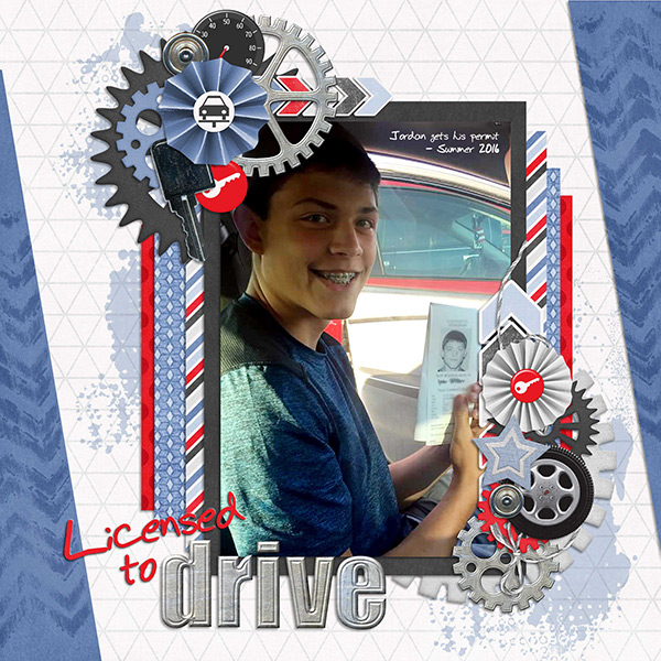 Licensed to Drive