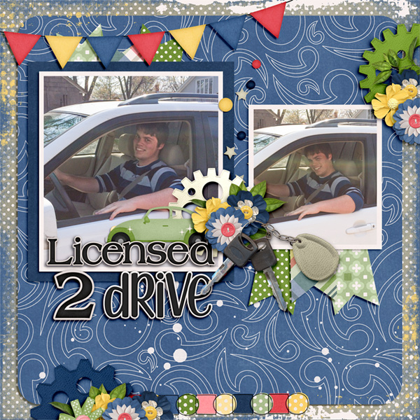 Licensed to Drive