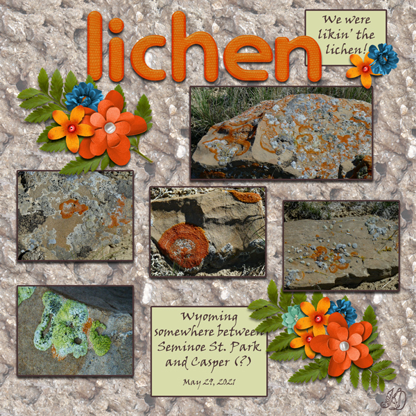 lichen