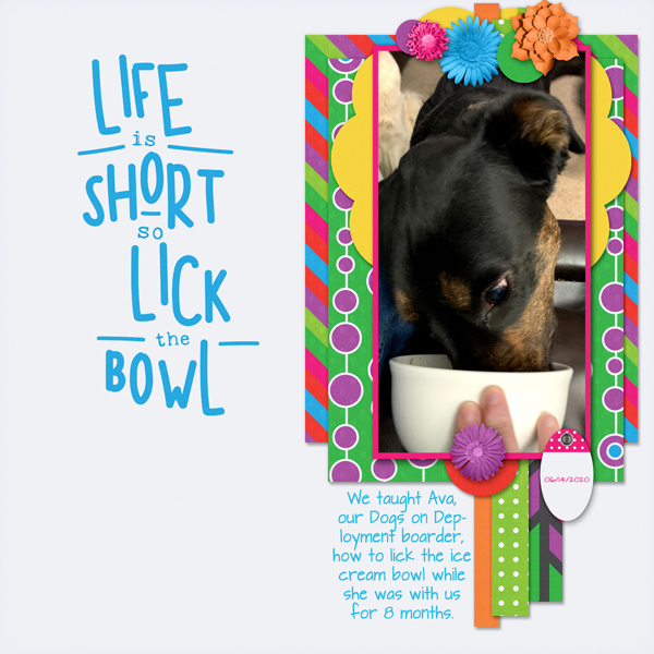 Lick the Bowl