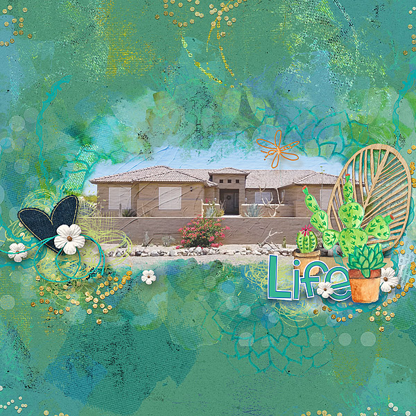 Life and Home
