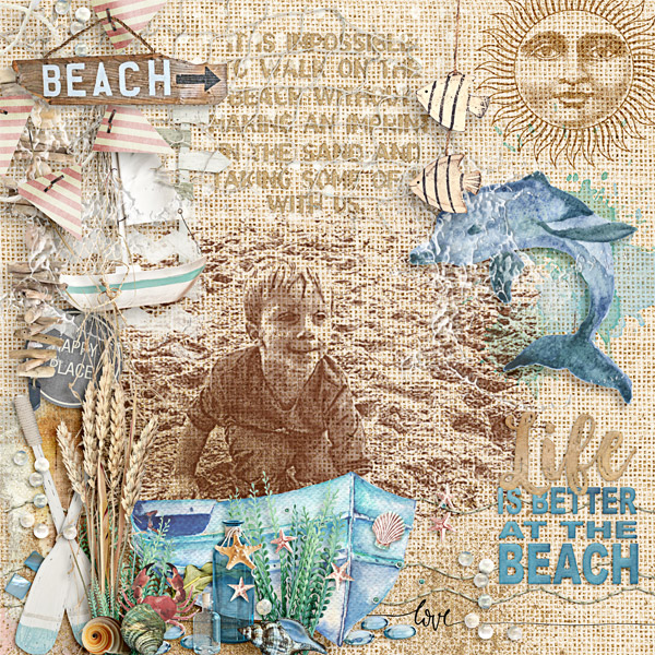 Life at the Beach