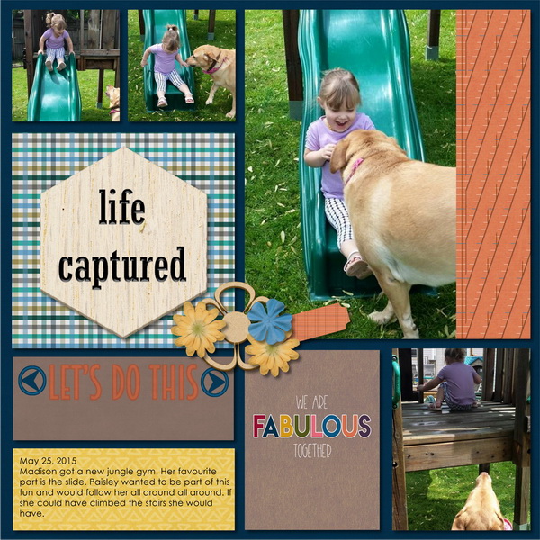 Life Captured