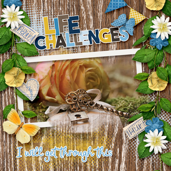 Life Challenges