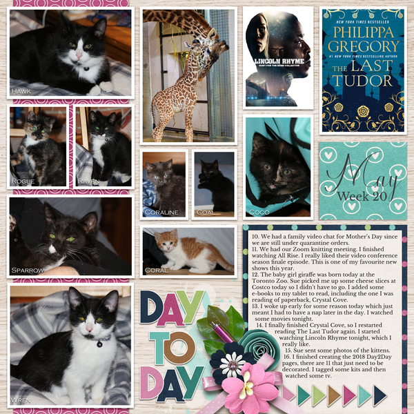 Life Chronicled: Day To Day