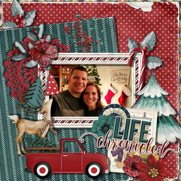 Life Chronicled - December