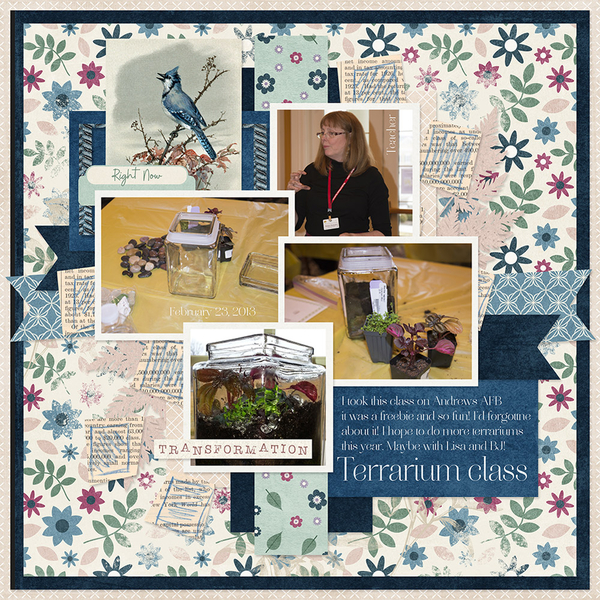 Life Chronicled Resolutions