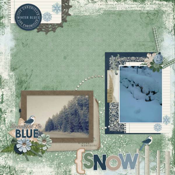 Life Chronicled winter blues