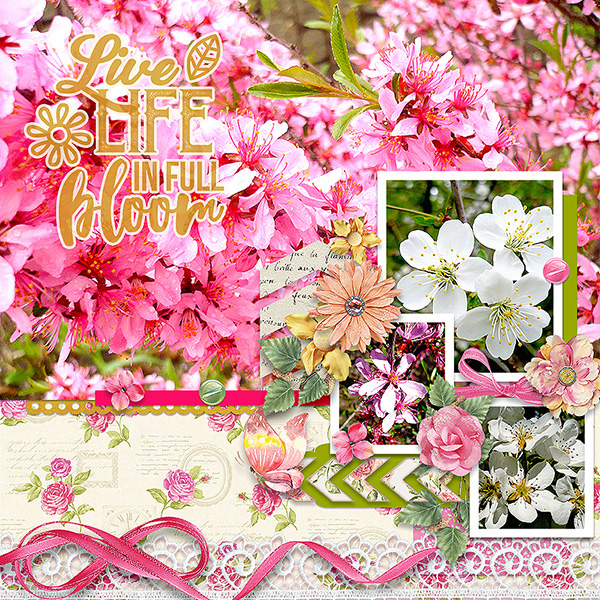 Life In Bloom