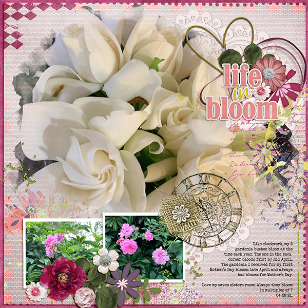Life in Bloom