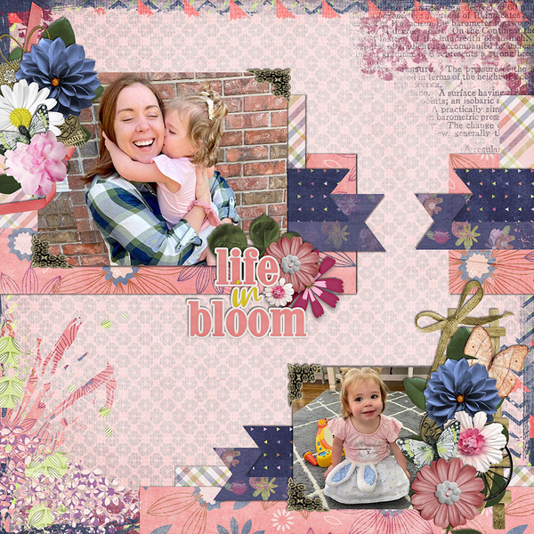 LIFE IN BLOOM