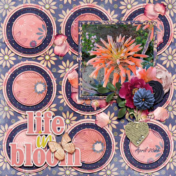 Life In Bloom