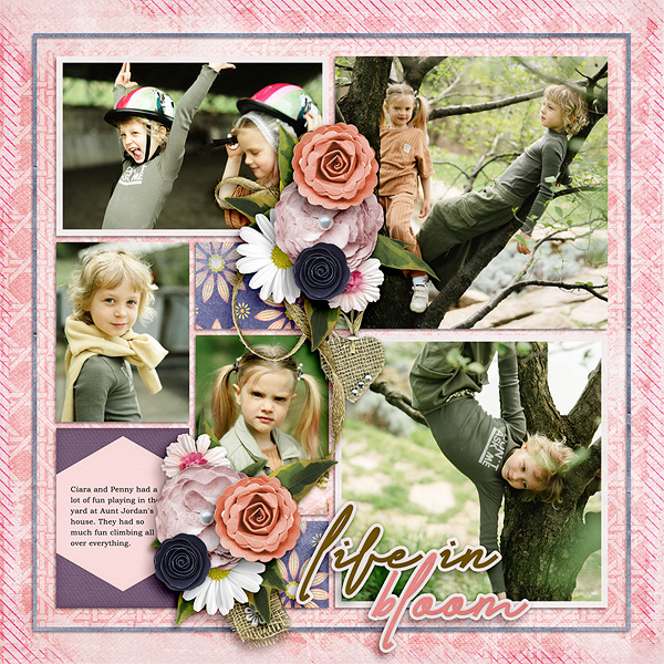 Life In Bloom