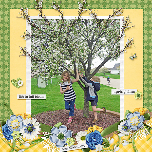 Life in Full Bloom