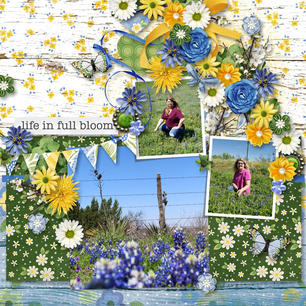 Life in Full Bloom