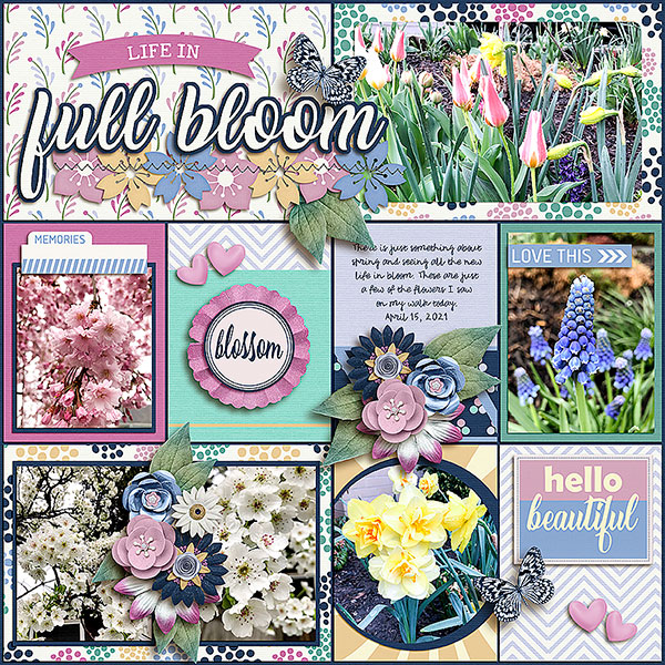 Life In Full Bloom