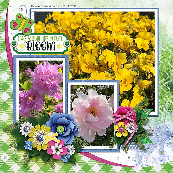 Life In Full Bloom