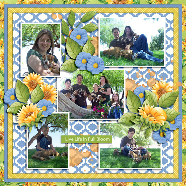 LIFE IN FULL BLOOM