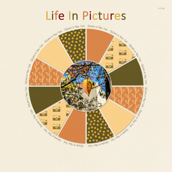 Life in Pictures