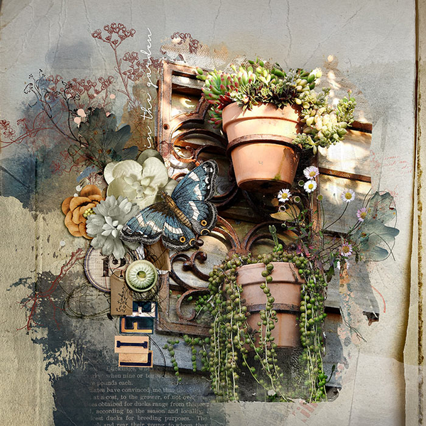 LIFE IN THE GARDEN