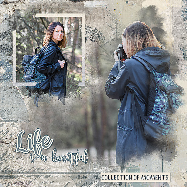 Life Is A Collection of Moments