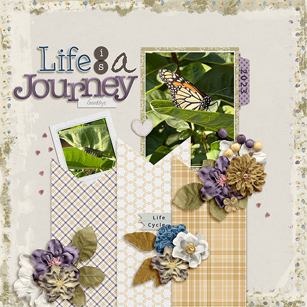 Life Is A Journey