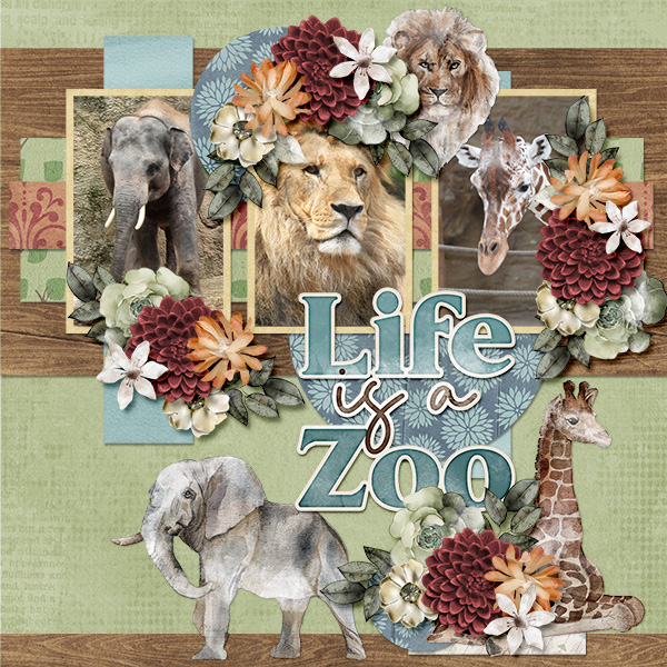 Life is a Zoo