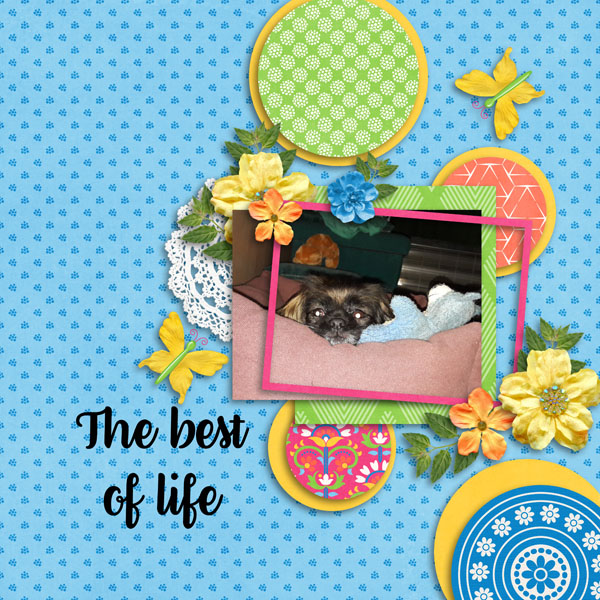 Life is beautiful