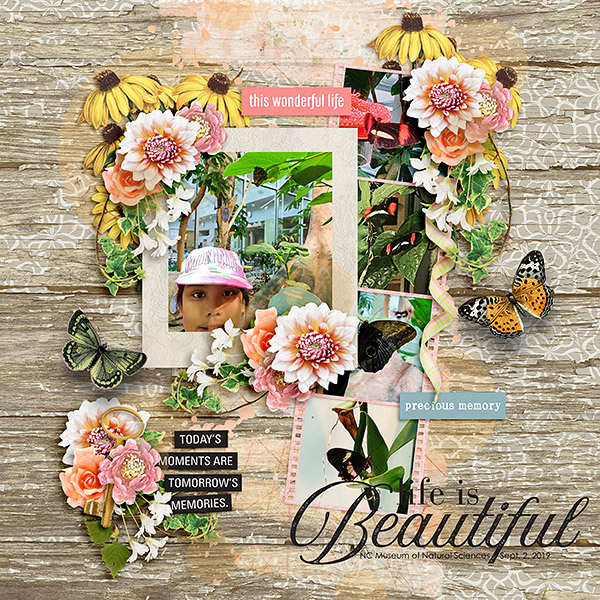Life Is Beautiful