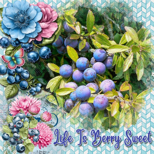 Life is Berry Sweet
