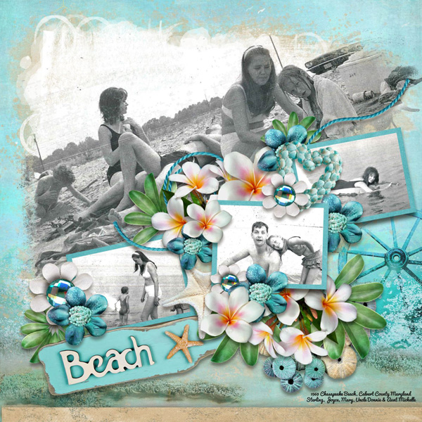 Life is Better at the Beach-LDrag