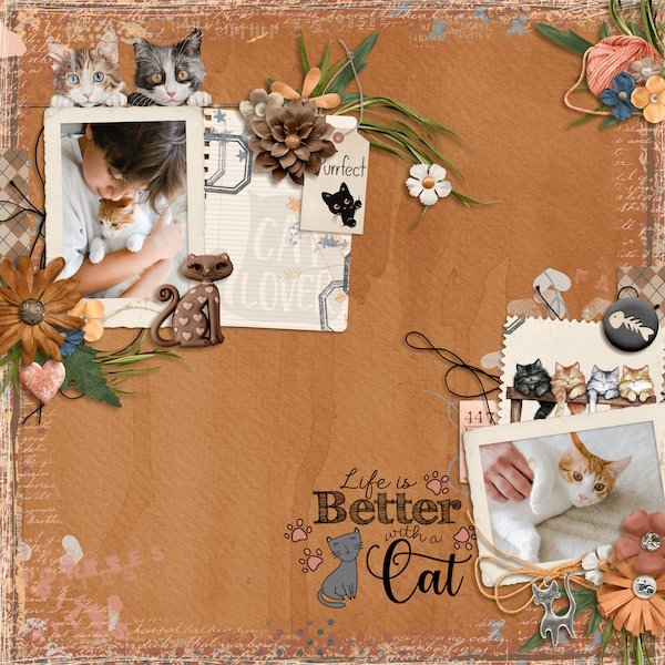 Life is better with a cat