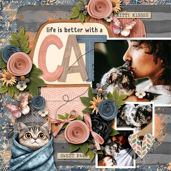 Life Is Better with a Cat