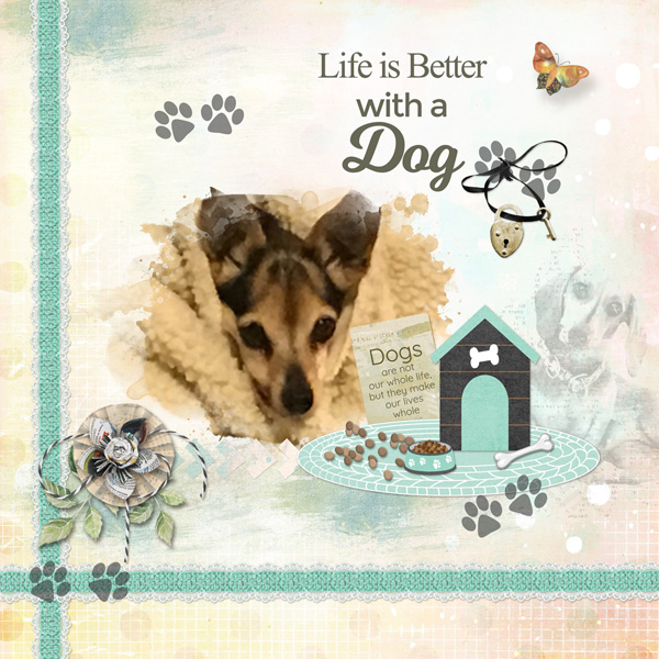 Life is Better with a Dog