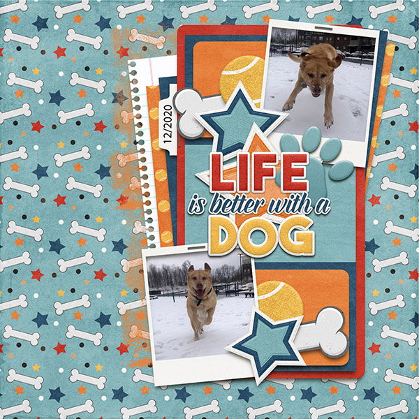 Life is better with a dog