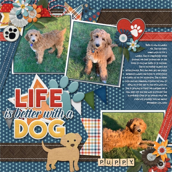 Life is better with a Dog
