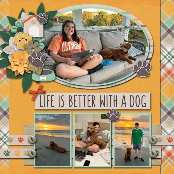 Life is Better With a Dog