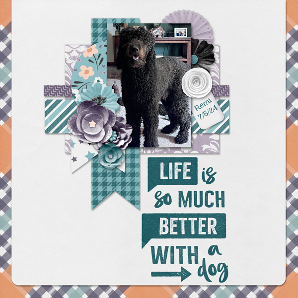 Life is Better with a Dog