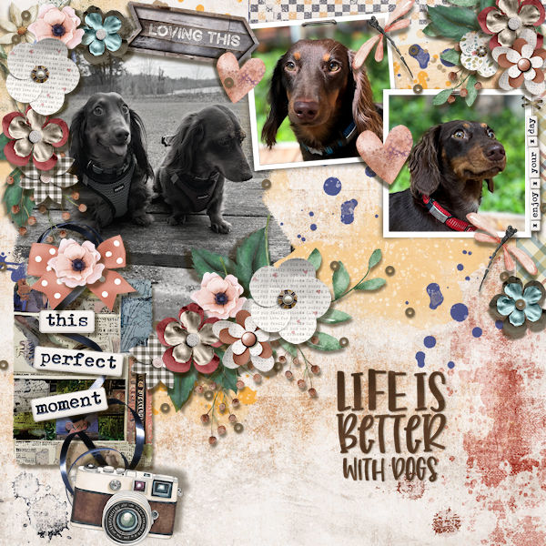 Life Is Better With Dogs