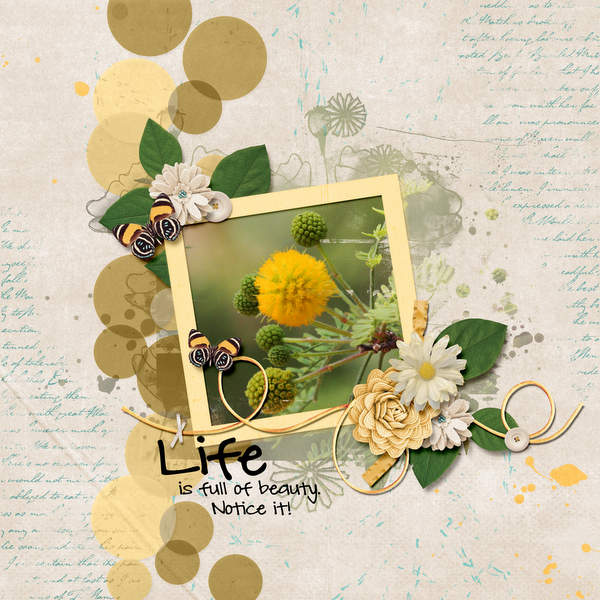 Life is full of beauty