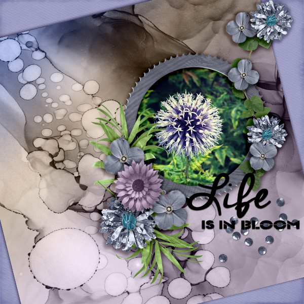 Life-is-in-bloom