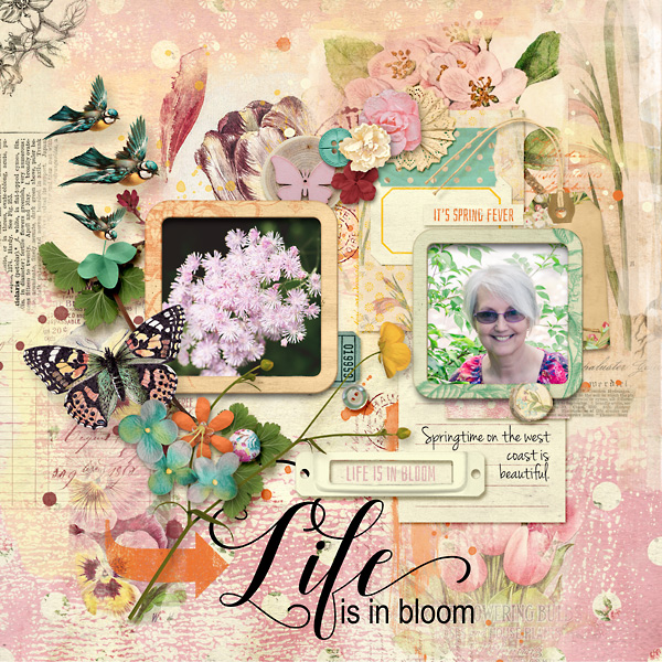 Life Is In Bloom