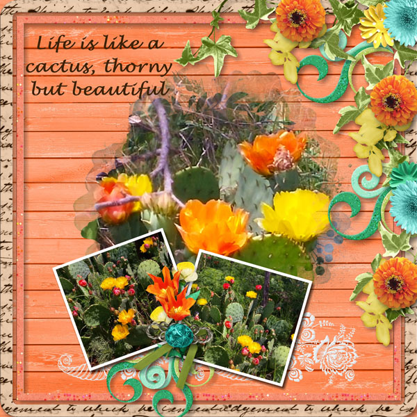 Life is Like a Cactus