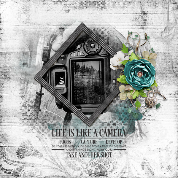 Life is Like a Camera