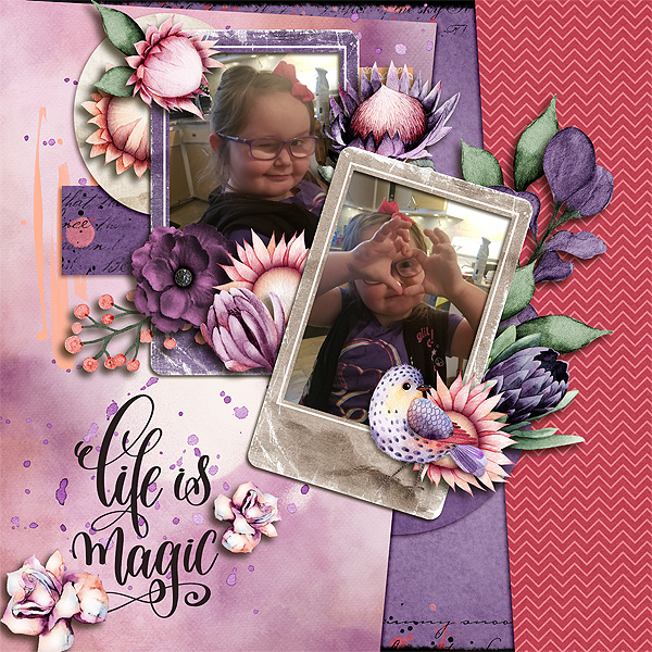 Life is magic