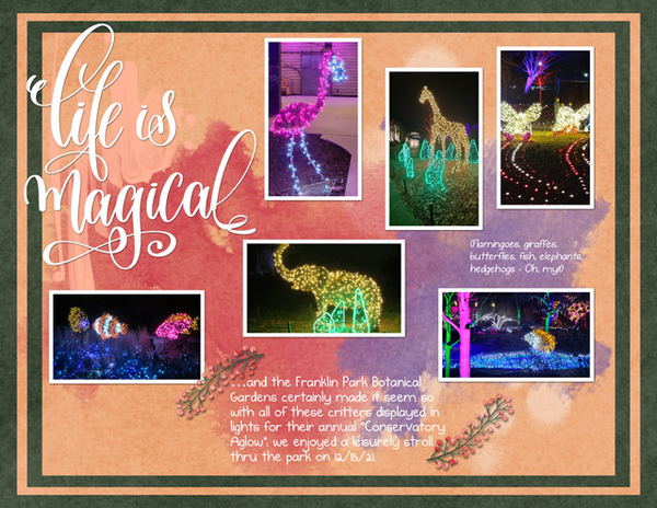 Life is Magical
