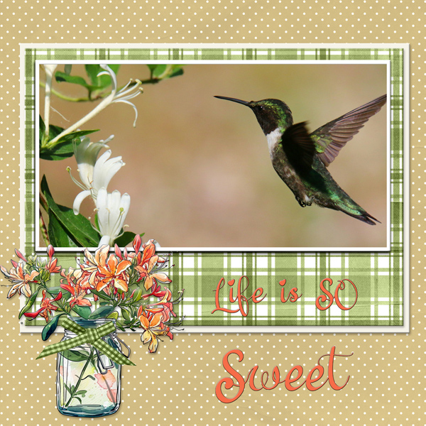 Life is so Sweet